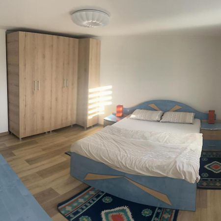 Vila Exclusive Targu Jiu Luaran gambar
