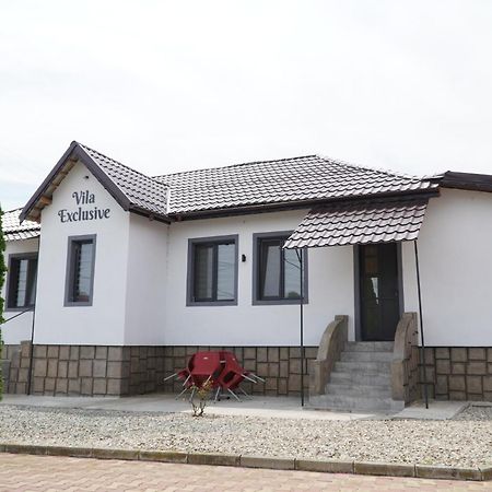 Vila Exclusive Targu Jiu Luaran gambar